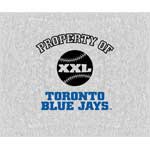 Toronto Blue Jays 58" x 48" "Property Of" Blanket / Throw