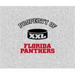 Florida Panthers 58" x 48" "Property Of" Blanket / Throw