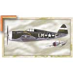 P-47 Thunderbolt - Contemporary mount print with beveled edge