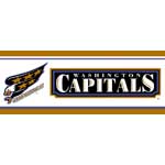 Washington Capitals Wallpaper Border