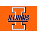 Illinois Fighting Illini NCAA College 20" x 30" Acrylic Tufted Rug