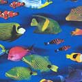 California Dream Paradise Fish - Fabric by the Yard