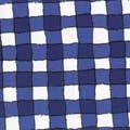 Mack Fabric by the Yard - Blue Check 