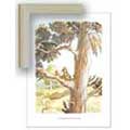 Stuck on a Limb - Contemporary mount print with beveled edge
