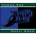 Tampa Bay Devil Rays 60" x 50" All-Star Collection Blanket / Throw