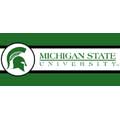 Michigan State Spartans 7" Tall Wallpaper Border