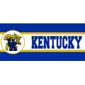 Kentucky Wildcats 7" Tall Wallpaper Border