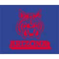 Arizona Wildcats 60" x 50" Classic Collection Blanket / Throw