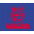 Arizona Wildcats 60" x 50" Classic Collection Blanket / Throw