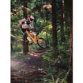 BMX Biker II - Contemporary mount print with beveled edge