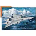 Grumman F-14 A Tomcat Plus Print Only