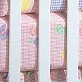 Butterfly Kisses Crib Sheet