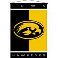 Iowa Hawkeyes 29" x 45" Deluxe Wallhanging