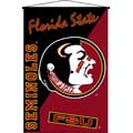 Florida Seminoles 29" x 45" Deluxe Wallhanging