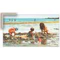 Beach Girls - Contemporary mount print with beveled edge
