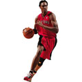 Chris Bosh Fathead NBA Wall Graphic