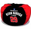 #29 Kevin Harvick Bean Bag