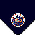 New York Mets 60" X 50" Team Fleece Collection Throw