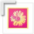Warhol Daisy, Fuschia and Yellow - Contemporary mount print with beveled edge