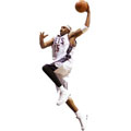 Vince Carter Fathead NBA Wall Graphic