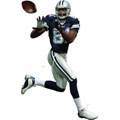 Terrell Owens Fathead NFL Wall Graphic