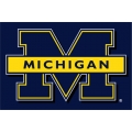 Michigan Wolverines NCAA College 20" x 30" Acrylic Tufted Rug