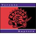 Toronto Raptors 60" x 50" All-Star Collection Blanket / Throw