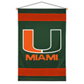 University of Miami Sidelines Wall Hanging