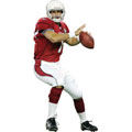 Matt Leinart Fathead NFL Wall Graphic