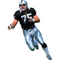 Howie Long Fathead NFL Wall Graphic