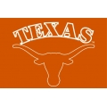 Texas Longhorns NCAA College 20" x 30" Acrylic Tufted Rug