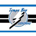 Tampa Bay Lighting Wallpaper Border