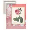 Shabby Chic Rose II - Contemporary mount print with beveled edge