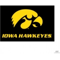 Iowa Hawkeyes NCAA College 20" x 30" Acrylic Tufted Rug
