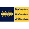 Michigan Wolverines 6" Tall Wallpaper Border