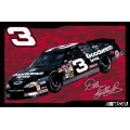 Dale Earnhardt Sr. #3 NASCAR 39" x 59" Acrylic Tufted Rug