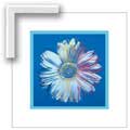 Warhol Daisy, Blue on Blue - Framed Canvas