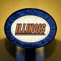 Illinois Illini NCAA College Art Glass Nightlight