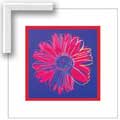 Warhol Daisy, Blue and Red - Contemporary mount print with beveled edge