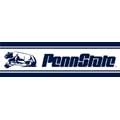 Penn State Nittany Lions 5 1/4" Tall Wallpaper Border