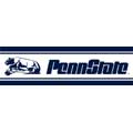 Penn State Nittany Lions 5 1/4" Tall Wallpaper Border