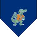 Florida Gators Florida College Fleece Collection Throw