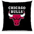 Chicago Bulls 18" Toss Pillow