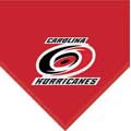 Carolina Hurricanes 60" x 50" Team Fleece Blanket / Throw