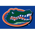 Florida Gators NCAA College 39" x 59" Acrylic Tufted Rug