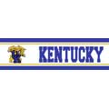 Kentucky Wildcats 5 1/4" Tall Wallpaper Border