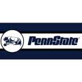 Penn State Nittany Lions 7" Tall Wallpaper Border