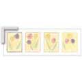 Sherbert Tulips - Contemporary mount print with beveled edge
