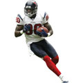 Andre Johnson Fathead NFL Wall Graphic