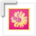 Warhol Daisy, Fuschia and Yellow - Framed Print